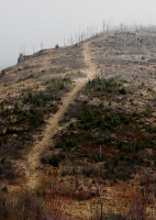 Zobrazit fotografii Smutn krajina kupodivu pln ivota