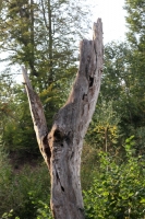 Zobrazit fotografii 