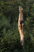 Zobrazit fotografii 