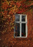 Podzimní okénko