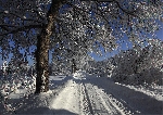 Zobrazit fotografii Krásy zimy